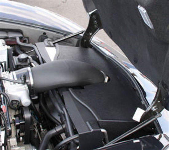 Picture of LS2 Killer Bee Intake